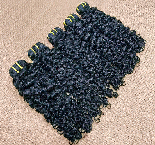 Burmese Curly